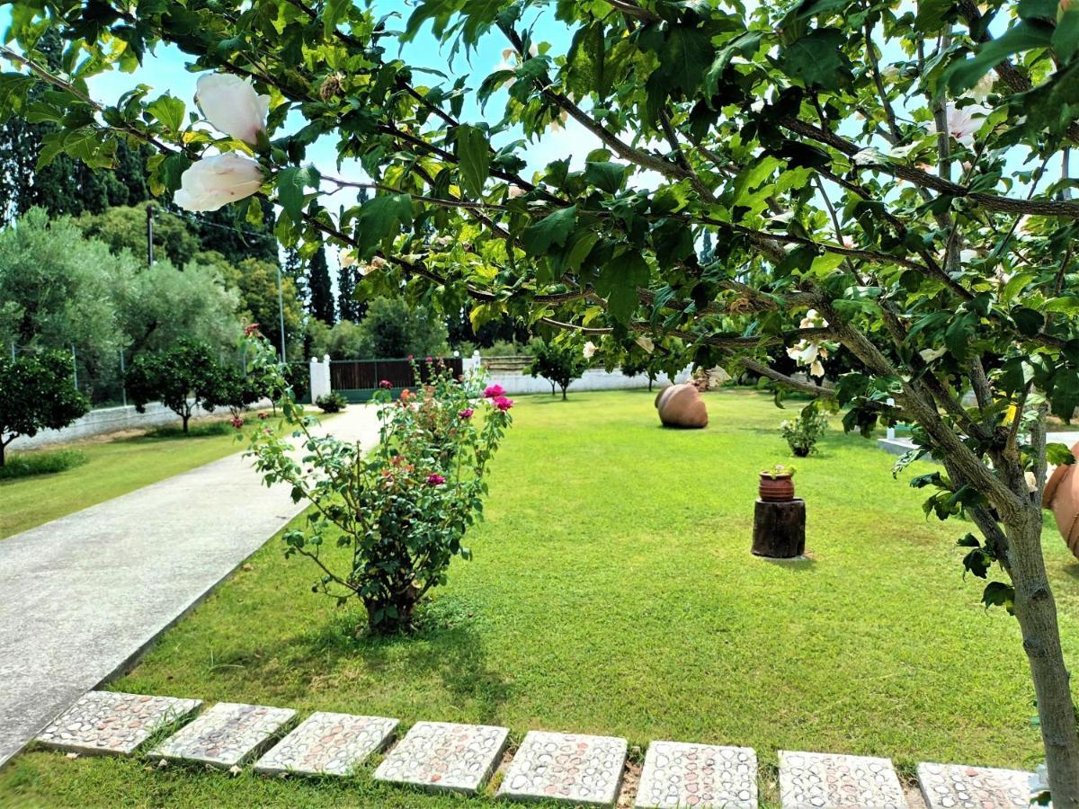 Villa Zenia Pelion Garden House à Platanidia Extérieur photo